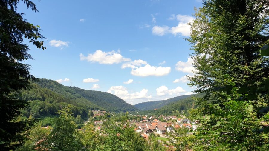 SEHR SCHÖNE WOHNUNG MIT LIFT, 2 BALKONEN UND VIEL GRÜN AUßEN HERUM - welch eine Sicht